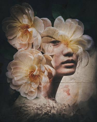 Saatchi Art Artist ELMIRA NAMAZOVA; Photography, “Botanic collection Vol. 6 – Delicate flower. Art portrait on canvas - Limited Edition of 46” #art