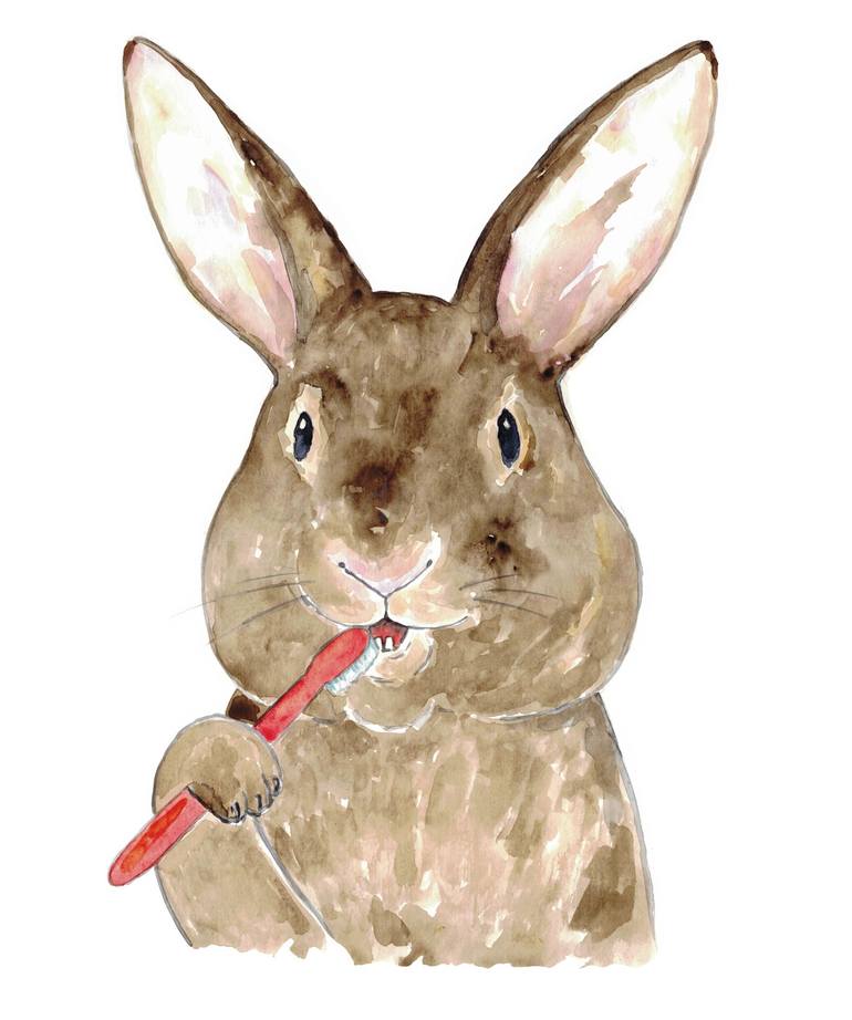 Rabbit Brushing Teeth Bath Watercolor Painting By Maryna Salagub