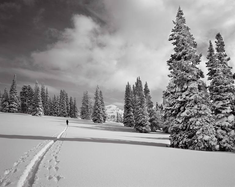 Naked XI Tetons Wyoming USA Limited Edition 1 Of 25 Photography