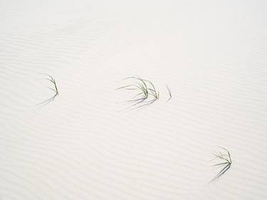 Saatchi Art Artist Tommy Kwak; Photography, “Dunes (Spiekeroog, Germany)” #art