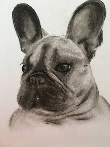 Original Portraiture Dogs Drawings by Julie E Smith
