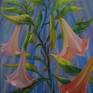 Angel’s trumpet, or Brugmansia suaveolens is at the same time incredibly beautiful and poisonous. This painting is a tribute to it's otherworldy nature.