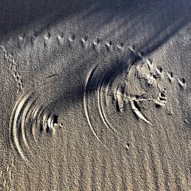 Print of Documentary Nature Photography by Florian Reckert