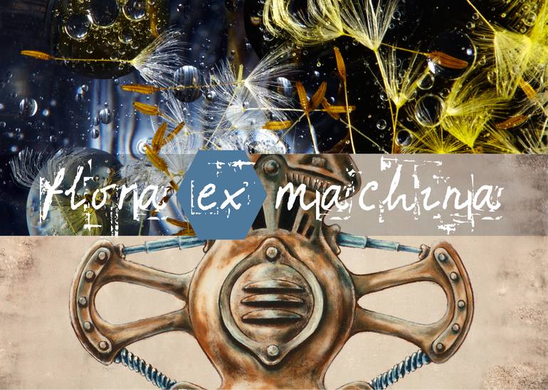 Original Abstract Women Photography by Manfredo Weihs