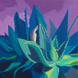 Purple aloe by Christophe Carlier