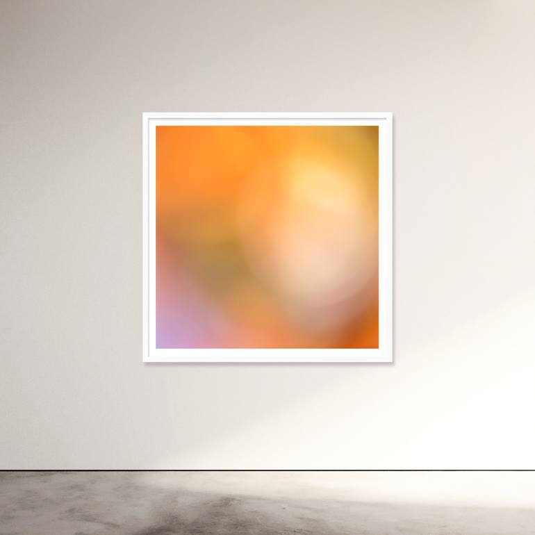 Original Abstract Photography by Christine Goerner