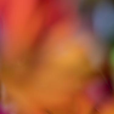 Original Abstract Photography by Christine Goerner