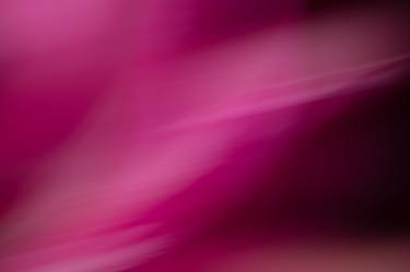 Original Abstract Photography by Christine Goerner