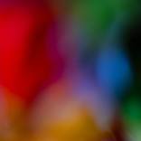 Collection Flora Euphoria