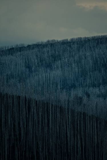 Original Landscape Photography by Christine Goerner