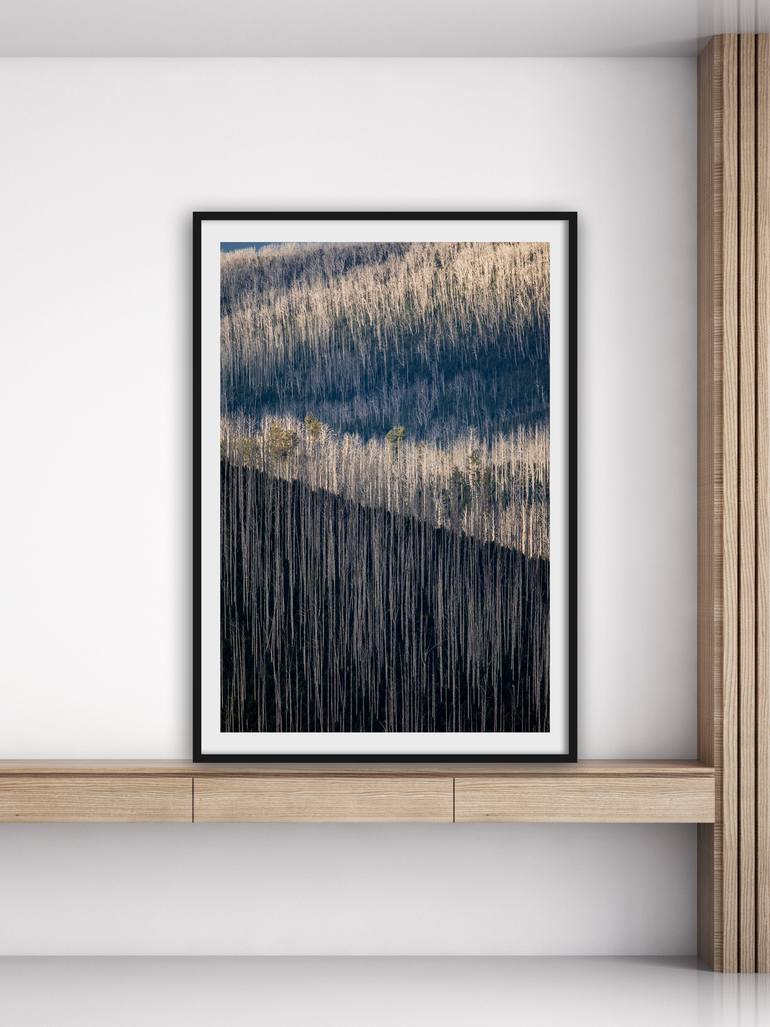 Original Abstract Landscape Photography by Christine Goerner