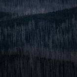 Collection Mountain Ash Series