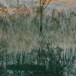 Collection Lake Fyans series