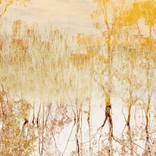 Collection Lake Fyans series