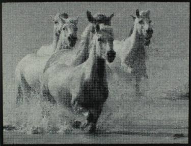 "White Horses running at the beach" thumb