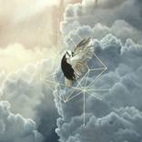 Stormy Sky and Dove by Joanna Charlotte