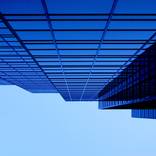 Collection Photography for $500 & Under