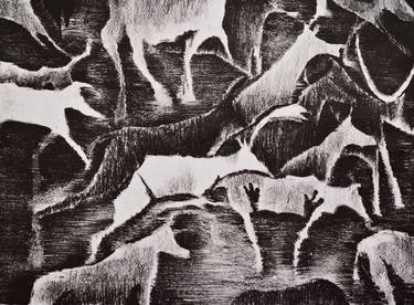 Print of Fine Art Animal Printmaking by Jelena Kozevnikova