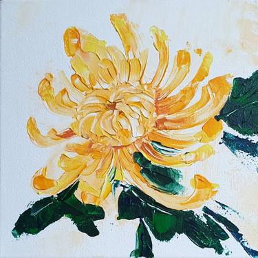 Chrysanthemum thumb