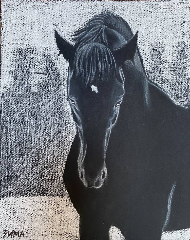 black-horse-drawing-by-elena-zima-saatchi-art