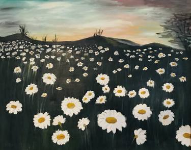 Daisies at Dawn thumb