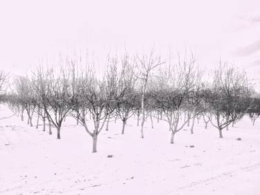 Original Minimalism Landscape Photography by Kostas Pittas