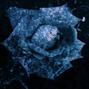 Collection The Rebirth of Daedalus