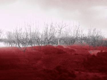 Red Land .01 - Limited Edition of 5 thumb