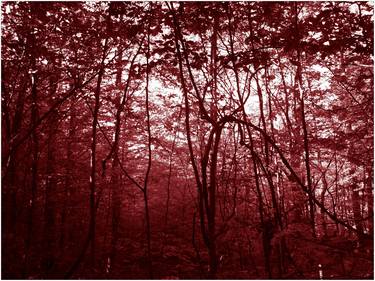 RED FOREST - Limited Edition of 5 thumb