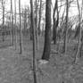 view additional image 1