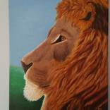 Collection Zodiac Series