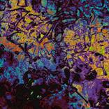 Collection Abstracts