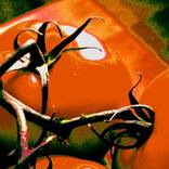 Collection Kitchen Art