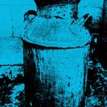 Collection Still Life Images