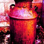 Collection Manipulated Images