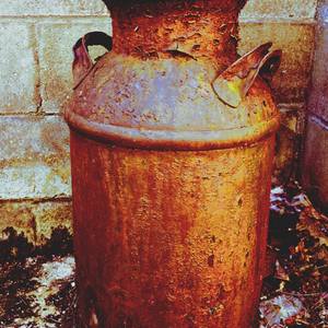 Collection Still Life Images