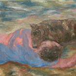 Collection Fine Art Degree Work