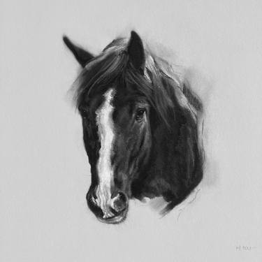 Horse Sketch thumb