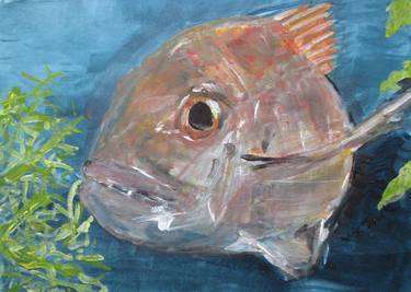 Print of Fish Paintings by Vivienne Jack