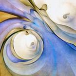 The Weightless by Scott Curtis
