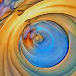 Unaccustomed Light by Scott Curtis