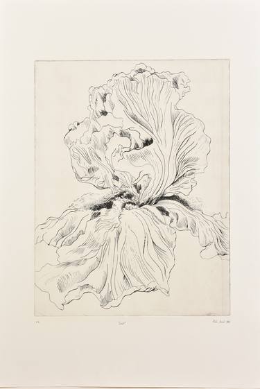 Original Figurative Floral Printmaking by Zala Bozic