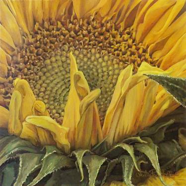 Original Realism Botanic Paintings by Julie Pace Hoff