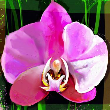 Orchid 7 - Limited Edition of 5 thumb