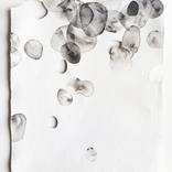 Eco Minimalism thumb