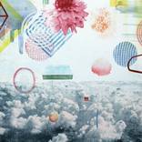 Silent Spring No 1. - Limited Edition of 1 by Heinrich Toh
