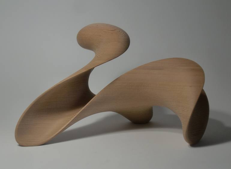 Abstract Wood Sculptures - Flow series