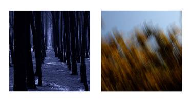 BLUE MOON TREES DIPTYCH - Limited Edition 1 of 5 thumb