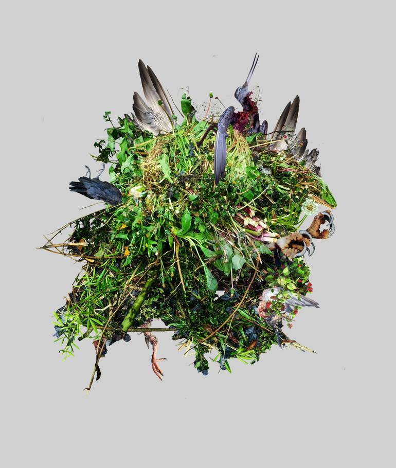 Original Conceptual Garden Collage by Kate Macdonald