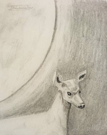 Deer In Moonlight thumb